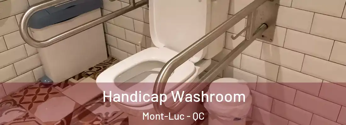  Handicap Washroom Mont-Luc - QC