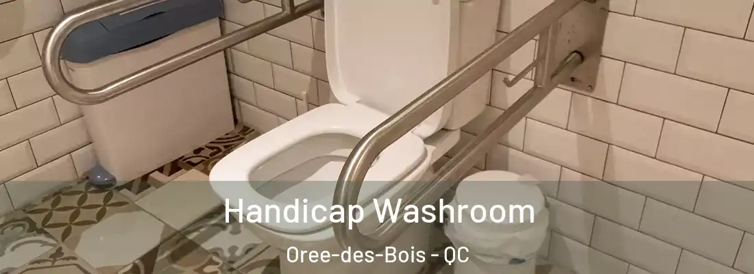  Handicap Washroom Oree-des-Bois - QC