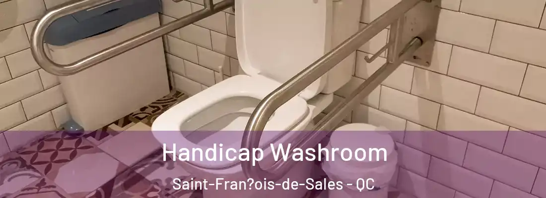  Handicap Washroom Saint-Fran?ois-de-Sales - QC