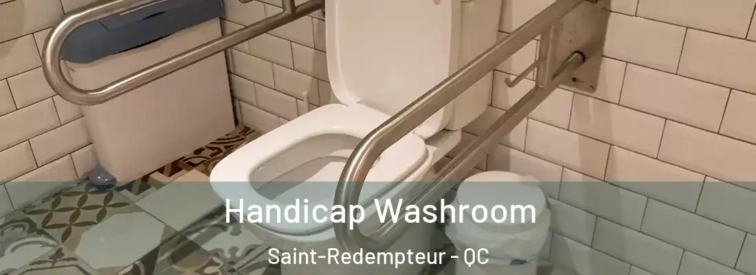  Handicap Washroom Saint-Redempteur - QC
