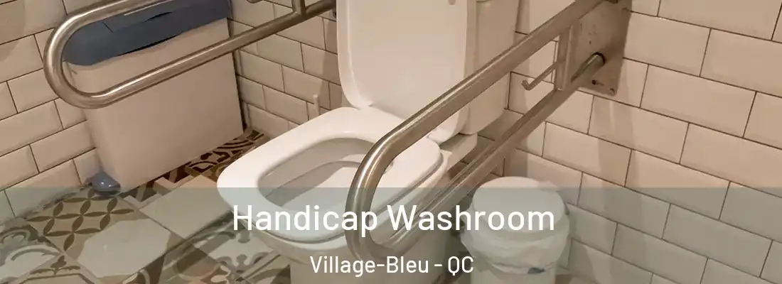  Handicap Washroom Village-Bleu - QC
