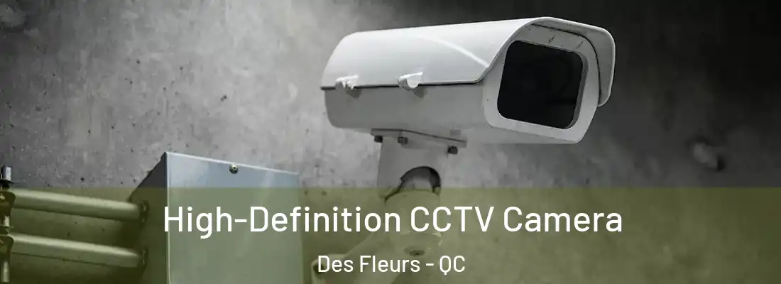  High-Definition CCTV Camera Des Fleurs - QC