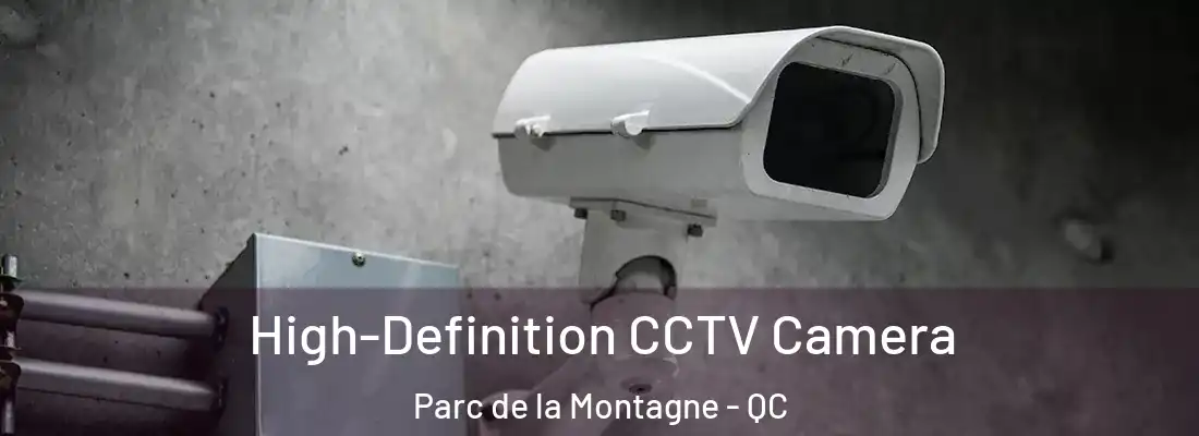  High-Definition CCTV Camera Parc de la Montagne - QC
