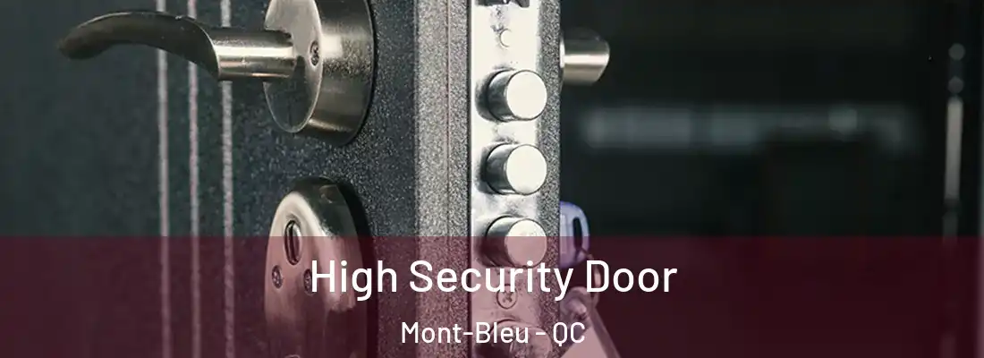  High Security Door Mont-Bleu - QC