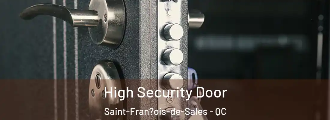  High Security Door Saint-Fran?ois-de-Sales - QC