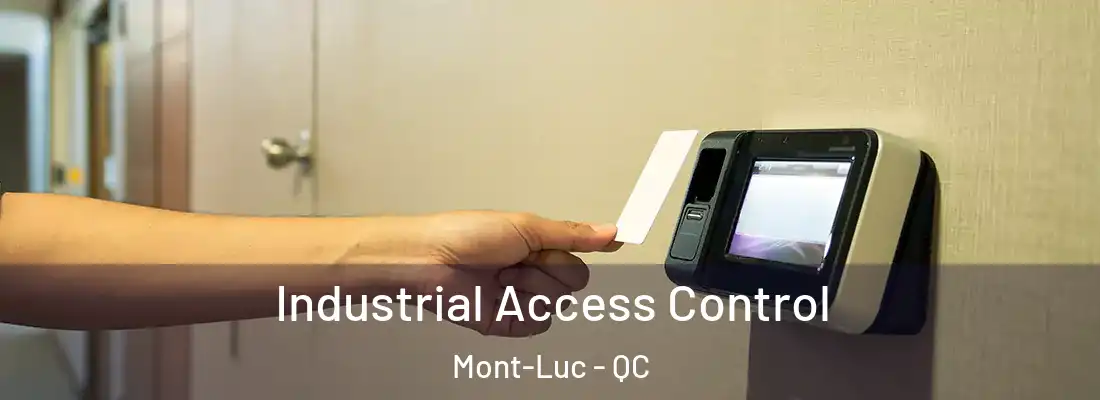  Industrial Access Control Mont-Luc - QC