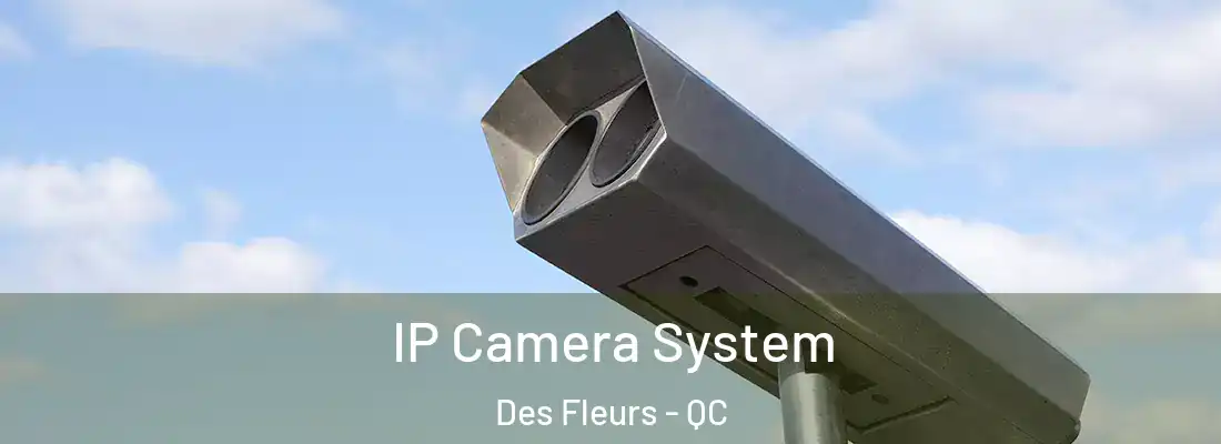  IP Camera System Des Fleurs - QC