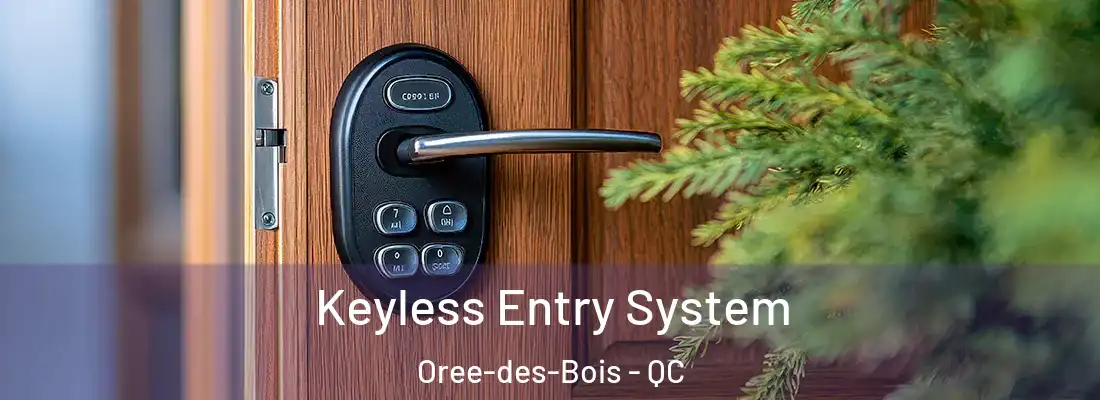  Keyless Entry System Oree-des-Bois - QC