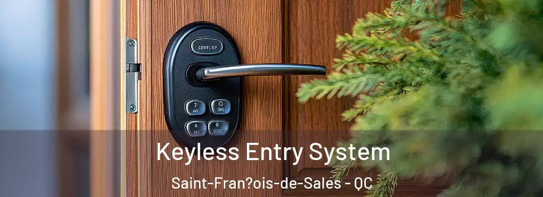  Keyless Entry System Saint-Fran?ois-de-Sales - QC