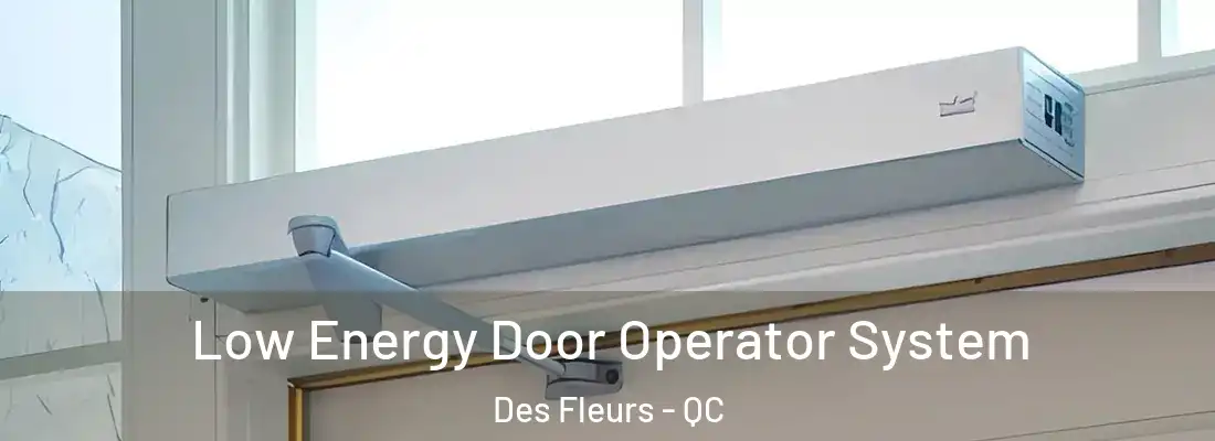  Low Energy Door Operator System Des Fleurs - QC