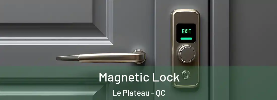  Magnetic Lock Le Plateau - QC