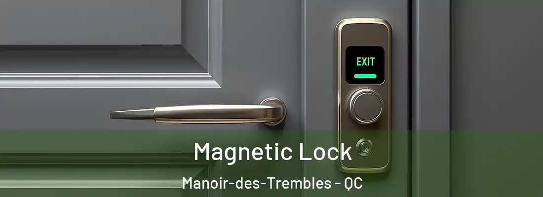  Magnetic Lock Manoir-des-Trembles - QC
