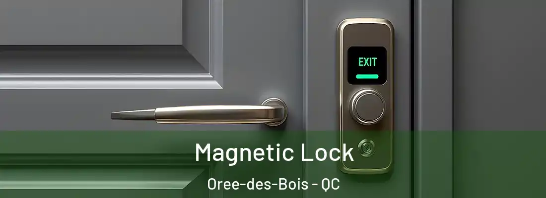  Magnetic Lock Oree-des-Bois - QC