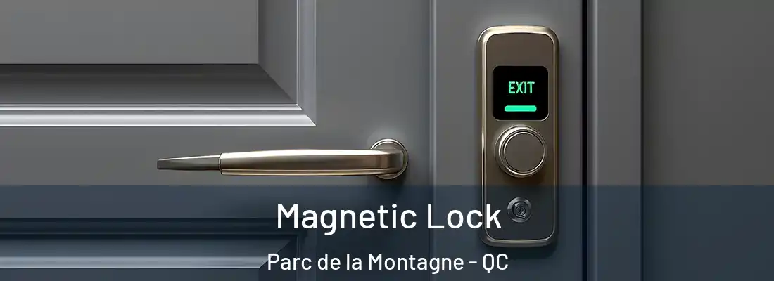  Magnetic Lock Parc de la Montagne - QC