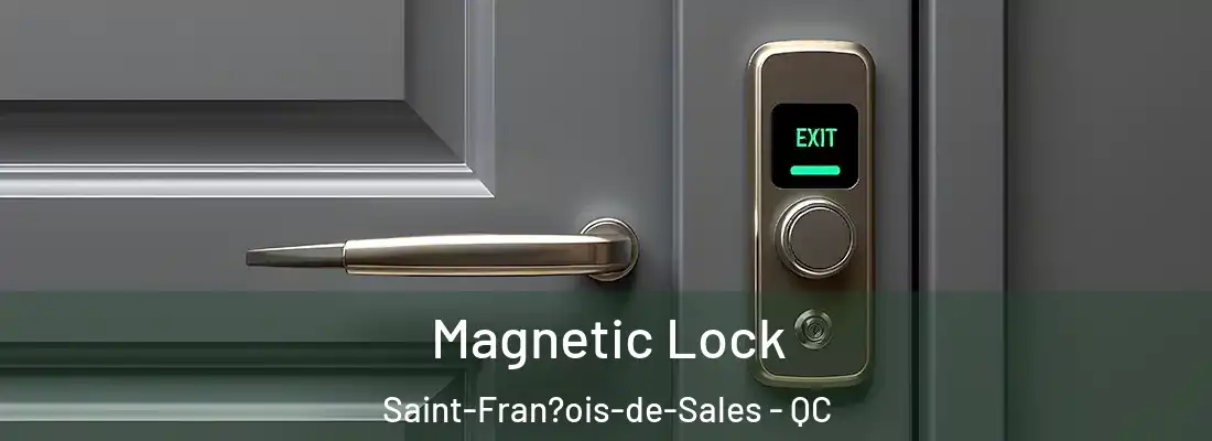  Magnetic Lock Saint-Fran?ois-de-Sales - QC