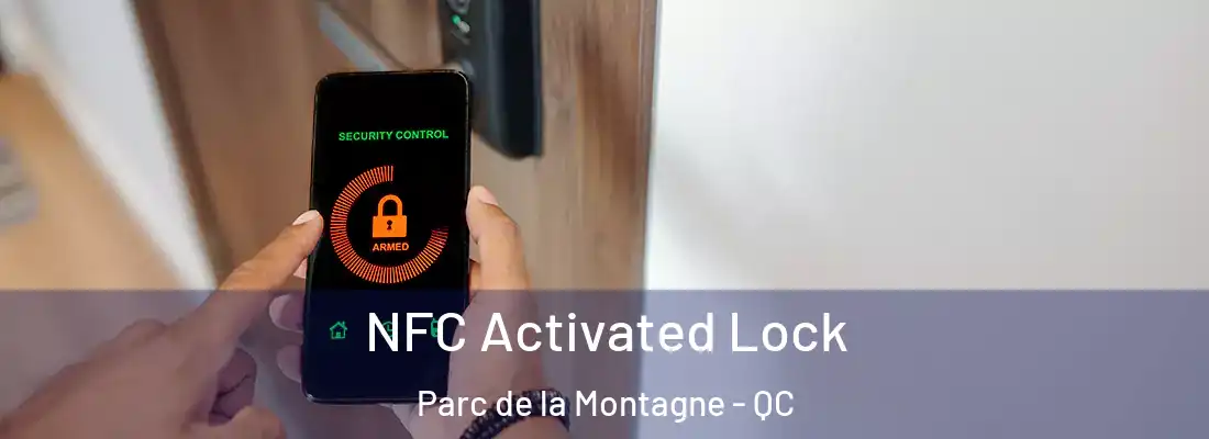  NFC Activated Lock Parc de la Montagne - QC