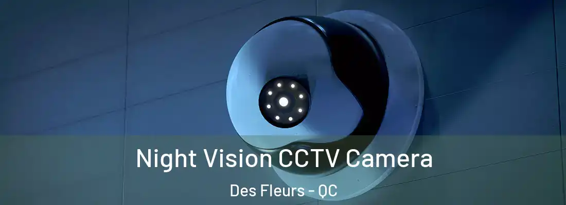  Night Vision CCTV Camera Des Fleurs - QC