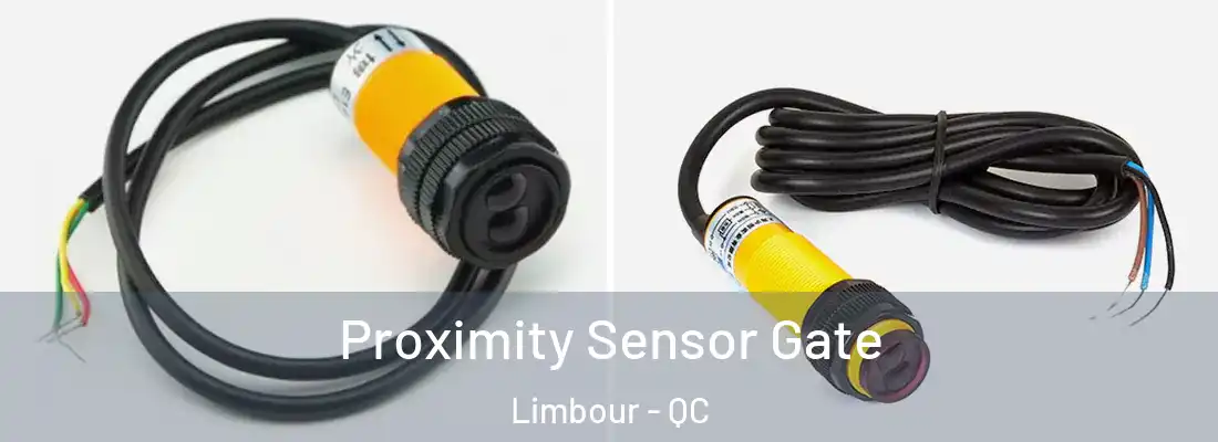  Proximity Sensor Gate Limbour - QC