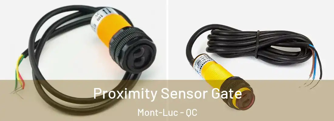  Proximity Sensor Gate Mont-Luc - QC
