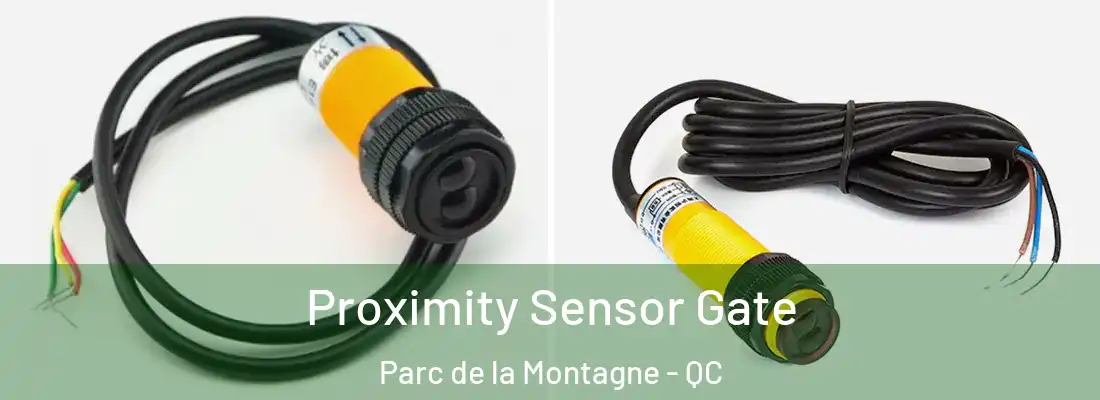 Proximity Sensor Gate Parc de la Montagne - QC