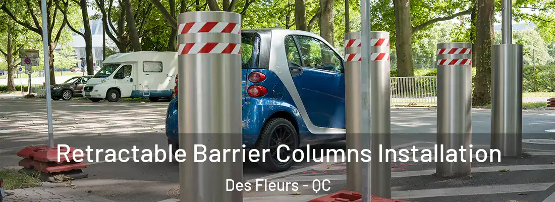  Retractable Barrier Columns Installation Des Fleurs - QC