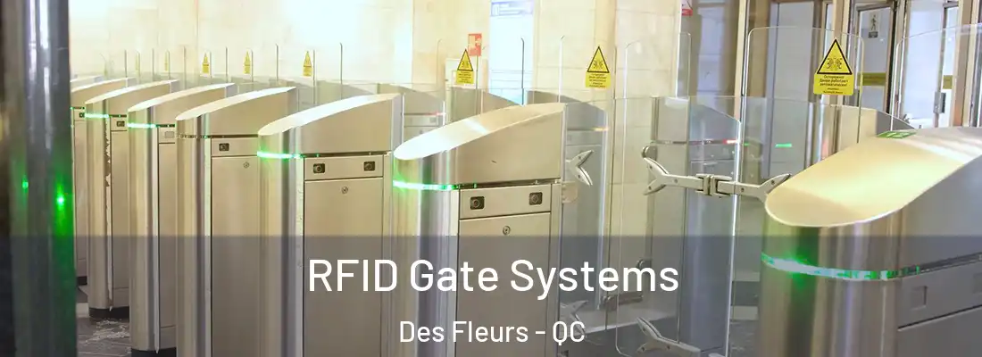  RFID Gate Systems Des Fleurs - QC