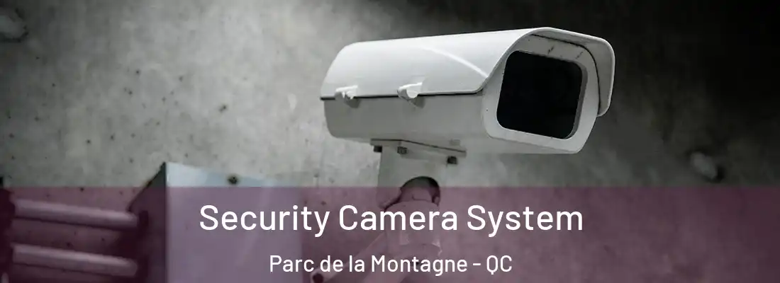  Security Camera System Parc de la Montagne - QC