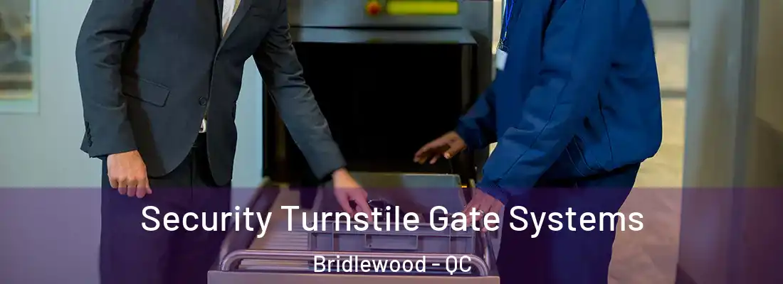  Security Turnstile Gate Systems Bridlewood - QC