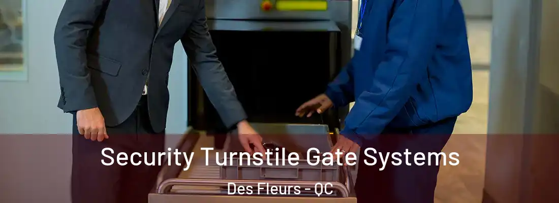  Security Turnstile Gate Systems Des Fleurs - QC
