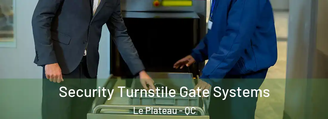 Security Turnstile Gate Systems Le Plateau - QC