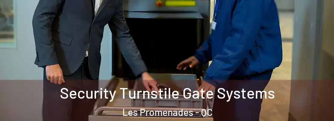  Security Turnstile Gate Systems Les Promenades - QC