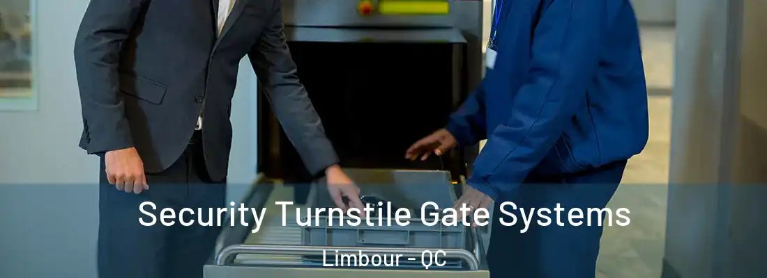  Security Turnstile Gate Systems Limbour - QC