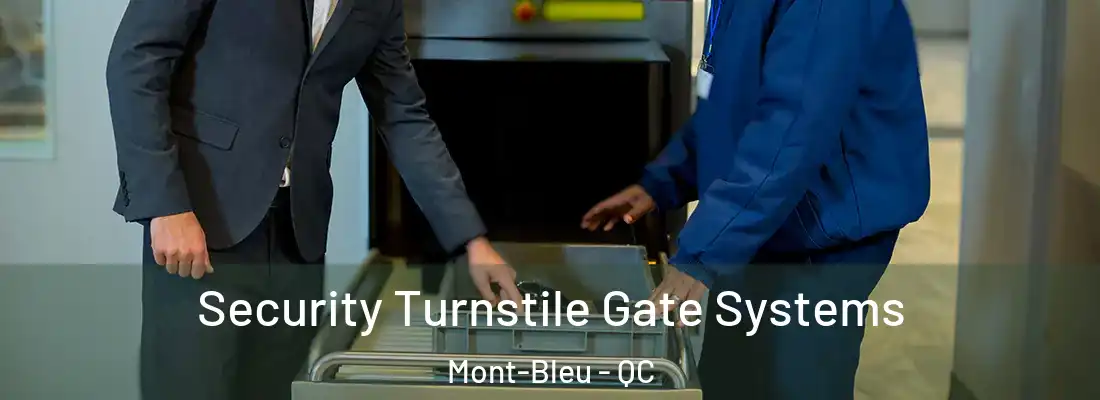  Security Turnstile Gate Systems Mont-Bleu - QC