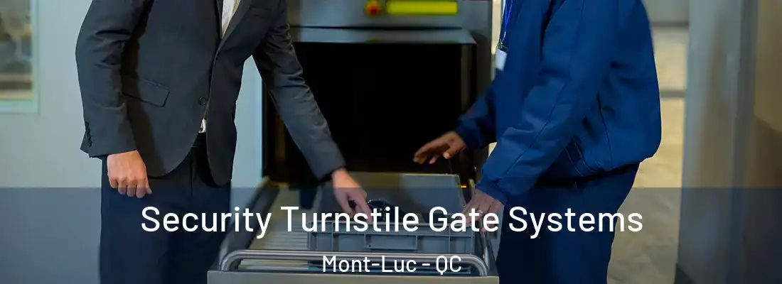  Security Turnstile Gate Systems Mont-Luc - QC