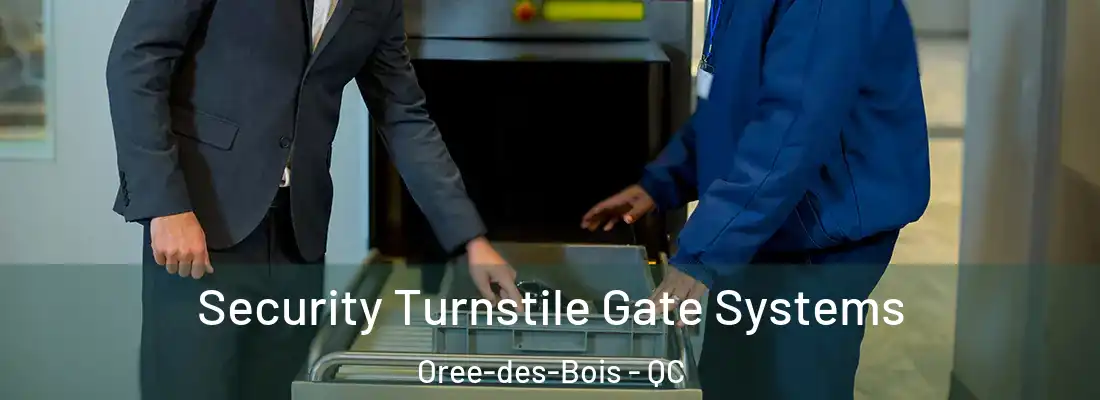 Security Turnstile Gate Systems Oree-des-Bois - QC