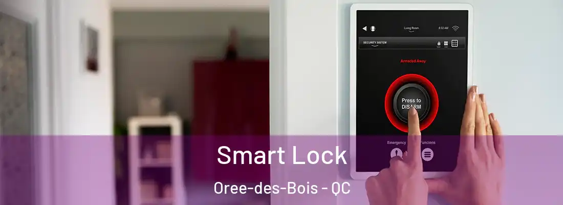  Smart Lock Oree-des-Bois - QC