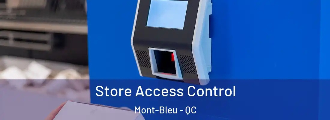  Store Access Control Mont-Bleu - QC